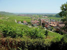 Kaysersberg : le village vu du château
