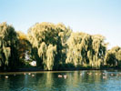 Iles de Toronto, Ontario, Canada