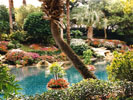 Jardin exotique, Seaworld, Orlando (Florida), USA